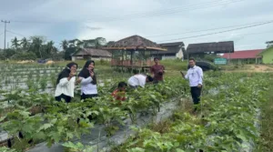 Bapas Tanjungpandan Awasi Pelaksanaan Pidana Pelatihan Kerja ABH di Desa Prepat (Dok. Istimewa)