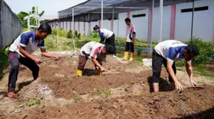 LPKA Martapura Perkuat Pembinaan Kemandirian Anak Binaan Melalui Edukasi Praktik Lapangan Perkebunan Berkelanjutan (Dok. Istimewa)