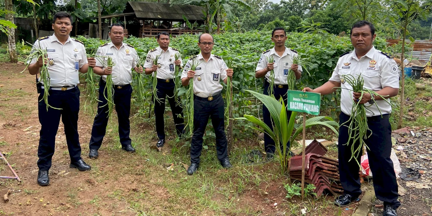 Lapas Batang Panen Raya Kacang Panjang, Perkuat Kemandirian dan Ketahanan Pangan (Dok. Istimewa)