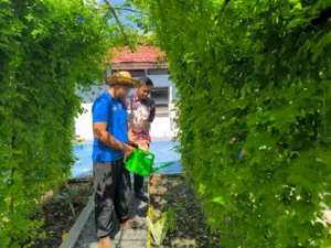 Rutan Marabahan Perkuat Kemandirian Warga Binaan Melalui Budidaya Bunga Telang Berbasis Ketahanan Pangan (Dok. Istimewa)