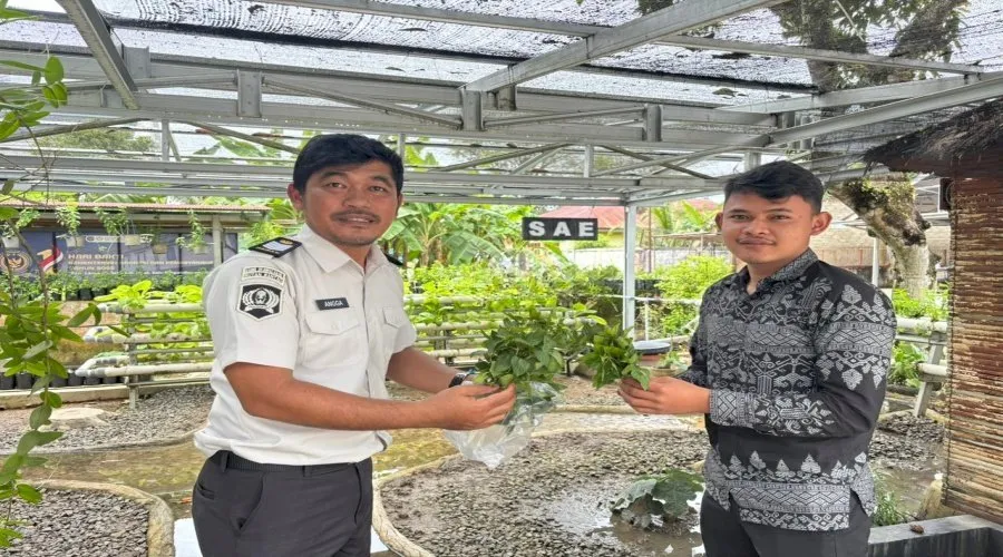 Panen Mint Berkelanjutan Rutan Rantau (Dok. Istimewa)