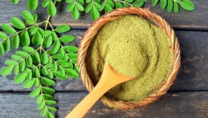 Daun Kelor dan Ragam Khasiat Medisnya (Dok. Istimewa)