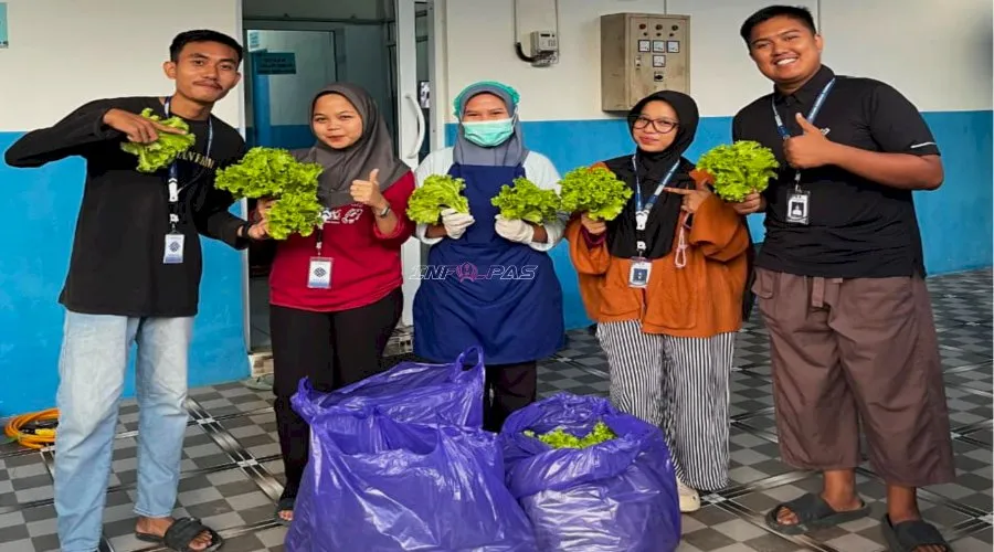 Rutan Majene Suplai 16 Kilogram Selada, Perkuat Sinergi Pemenuhan Gizi dan Kemandirian Pangan