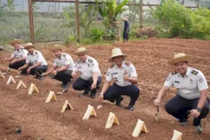 Lapas Banjarbaru Tanam 300 Bibit Kembang Kol, Perkuat Kemandirian Warga Binaan dan Dukung Ketahanan Pangan Nasional