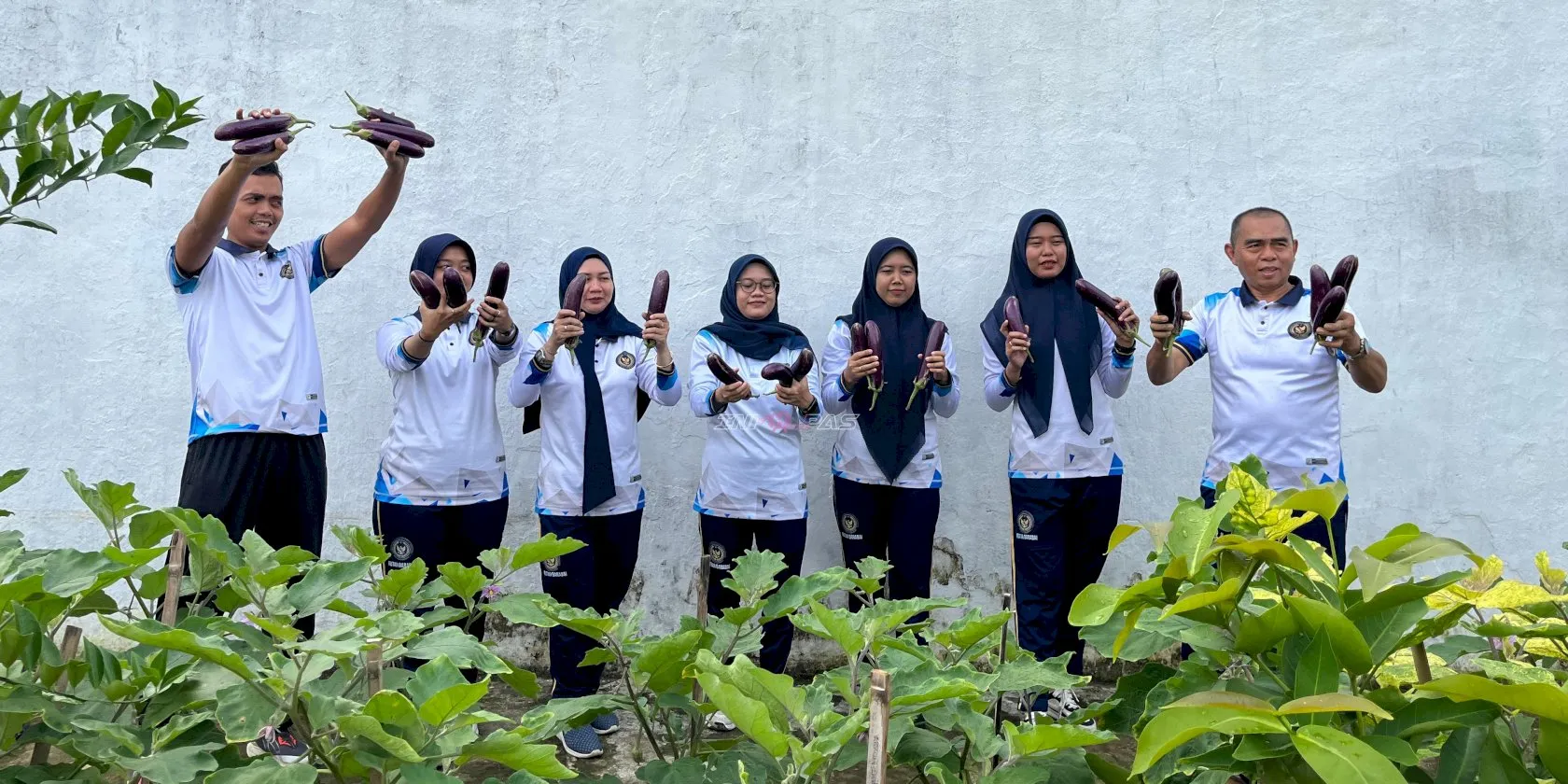 Rutan Kelas IIB Barabai Panen 11 Kg Terong, Perkuat Ketahanan Pangan dan Kemandirian Warga Binaan