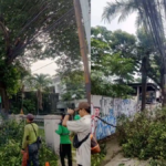 Sudin Tamhut Jakarta Timur Pangkas Pohon Serentak Cegah Tumbang