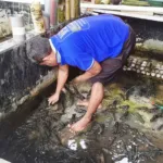 Lapas Narkotika Karang Intan Dorong Kemandirian Dengan Budidaya Lobster Air Tawar (Dok. Istimewz)