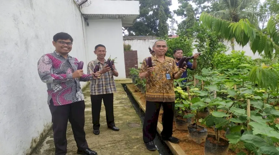 Panen Terong SAE Rutan Barabai Dorong Kemandirian Warga Binaan (Dok. Istimewa)
