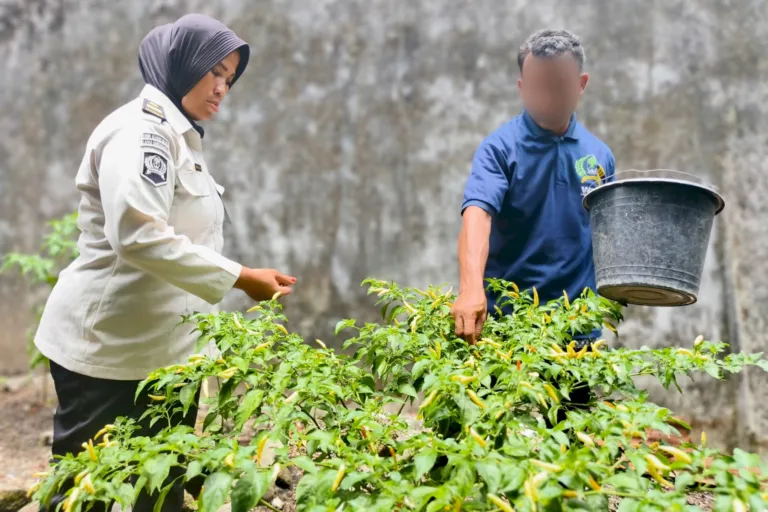 Ketahanan Pangan Lapas Bandanaira (Dok. Istimewa)
