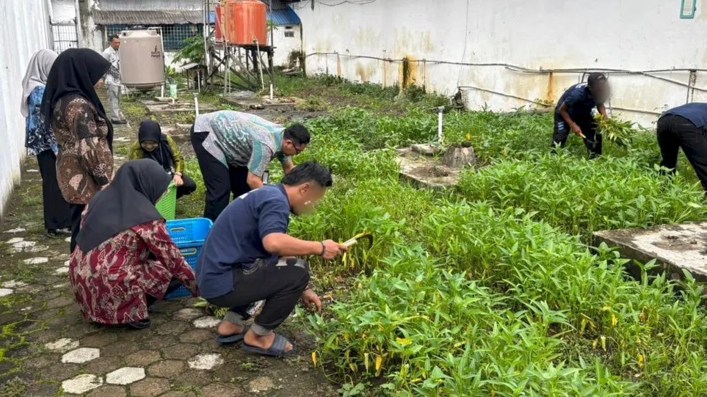 Panen SAE Lapas Amuntai (Dok. Istimewa)