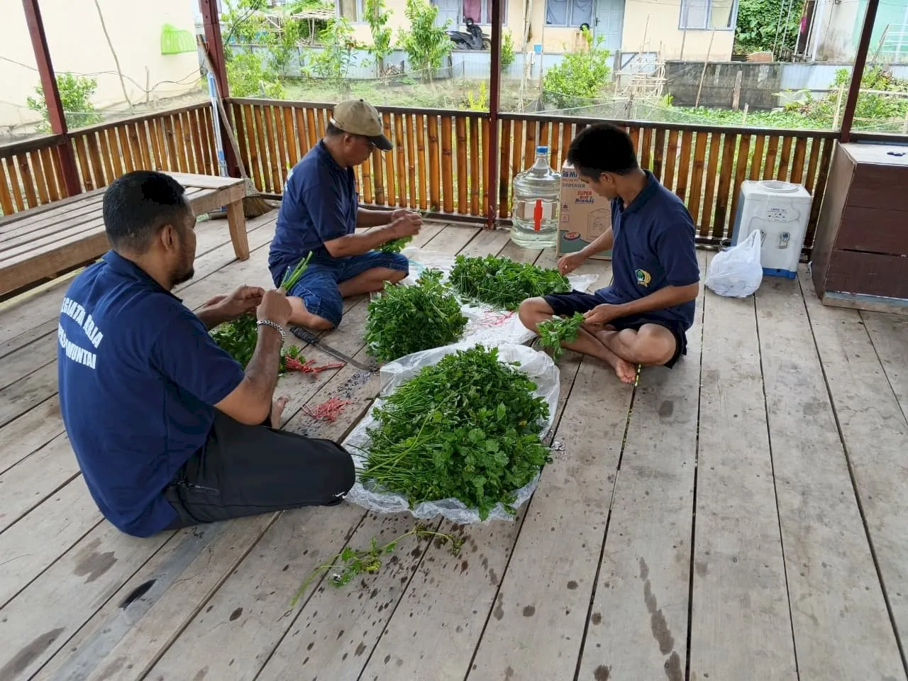 Panen SAE Lapas Amuntai (Dok. Istimewa)