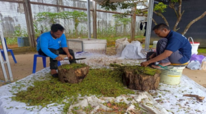 Pelatihan Kompos Tingkatkan Kemandirian Warga Binaan (Dok. Istimewa)