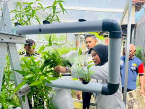 Panen Kangkung Hidroponik Perkuat Pembinaan Kemandirian Warga Binaan Lapas Wahai (Dok. Istimewa)