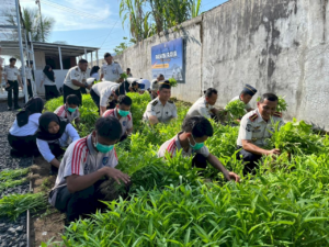 Panen Ketiga Kangkung LPKA Martapura Tegaskan Konsistensi Pembinaan Keterampilan Anak Binaan