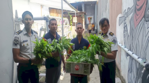 Panen Hidroponik Lapas Wahai Dorong Kemandirian Pangan dan Pembinaan Produktif Berkelanjutan