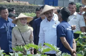 Kemenimipas Perkuat Dampak Sosial Lewat Bedah Rumah dan Ketahanan Pangan
