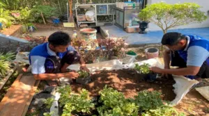 Lapas Tanjung Kembangkan Budidaya Tanaman Hias