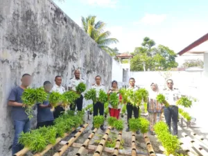 Inovasi Hidroponik Bambu Lapas Geser Sukses Panen 170 Ikat Kangkung Segar Layak Jual