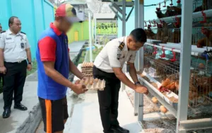 Inovasi Pembinaan Kemandirian Lapas Banjarmasin: Sulap Area Terbatas Jadi Lahan Agrobisnis yang Sangat Produktif